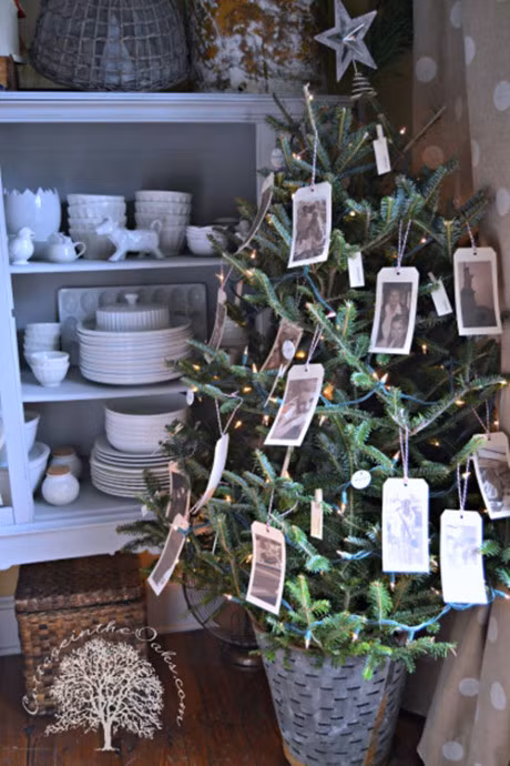 Nhung y tuong trang tri cay thong noel theo chu de duoc ua thich - Anh 3