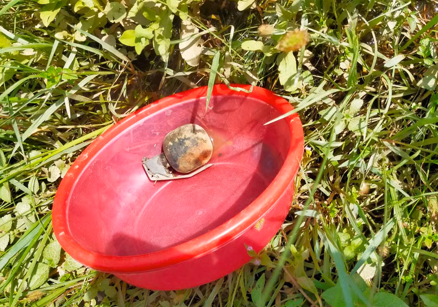 Quả lựu đạn còn khả năng phát nổ được phát hiện ở sông Kiến Giang.