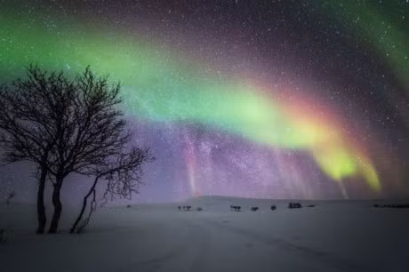 Ngam hien tuong Bac cuc quang dep me nguoi - Anh 9