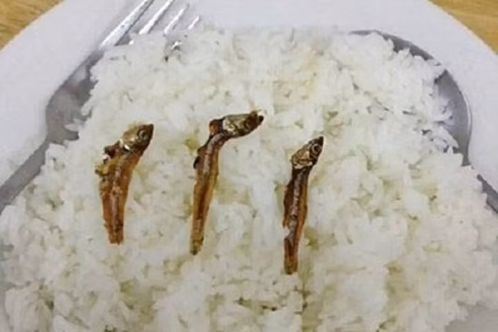 Hài hước những bữa cơm cuối tháng cộp mác sinh viên