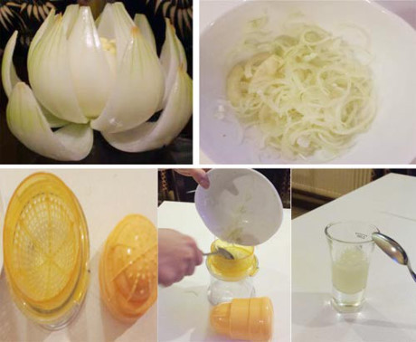 Một củ hành tây Mot cu hanh tay