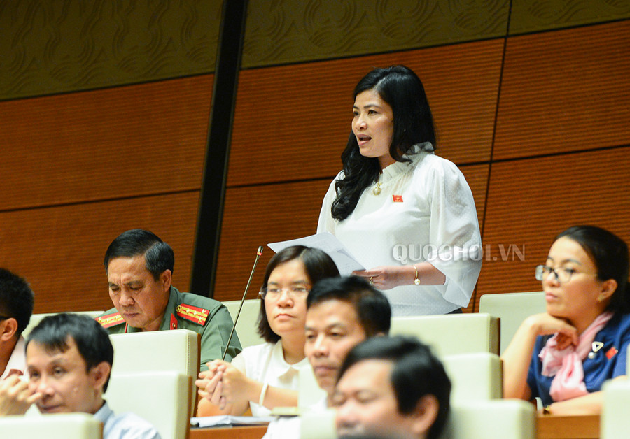 Đại biểu Đàng Thị Mỹ Hương