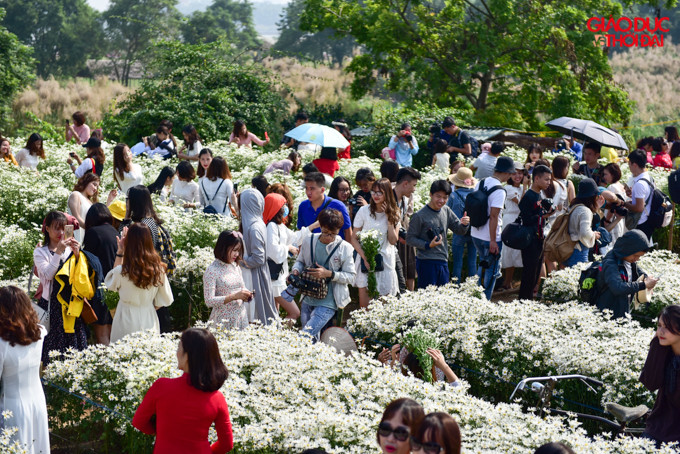 Giá một vé vào vườn là 50.000 đồng, các dịch vụ đi kèm trang điểm và thuê quần áo cũng được phụ vụ tại vườn.