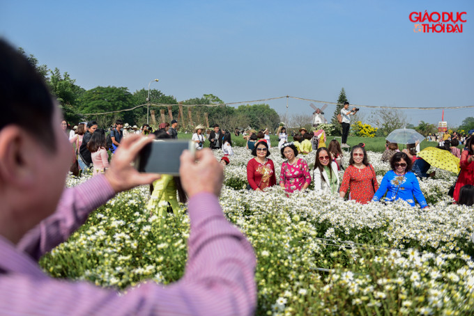 Không chỉ các bạn trẻ, nhiều người lớn tuổi cũng ra để lưu lại những hình ảnh với mùa cúc hoạ mi, một loài hoa của tháng 11.
