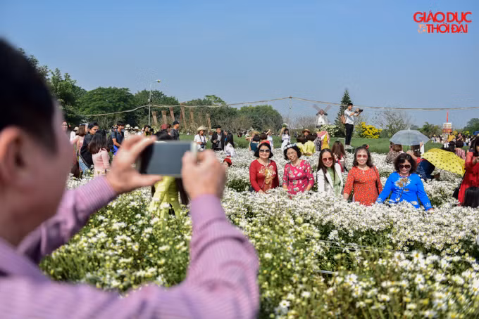 Không chỉ các bạn trẻ, nhiều người lớn tuổi cũng ra để lưu lại những hình ảnh với mùa cúc hoạ mi, một loài hoa của tháng 11.