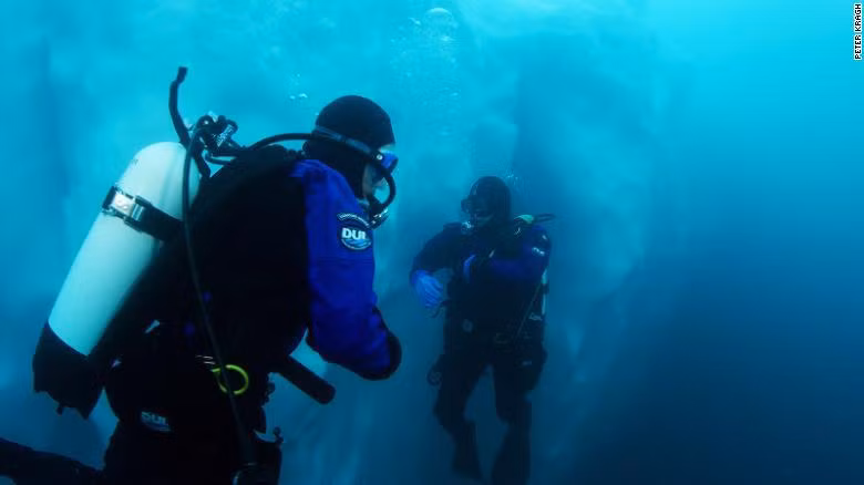 Các nhà khoa học lặn ra vùng biển cực ngoài khơi Greenland để nghiên cứu. Ảnh: CNN.