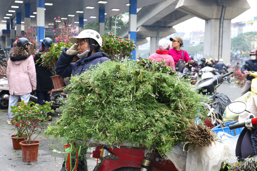 Vào những ngày cuối năm, những xe chở mùi già xuất hiện rất nhiều trên các con phố lớn nhỏ.