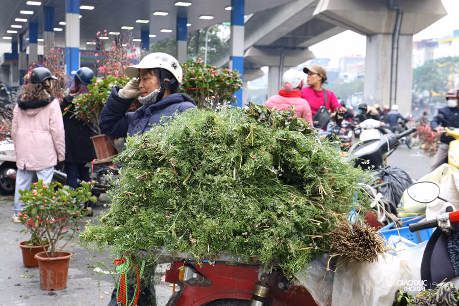 Vào những ngày cuối năm, những xe chở mùi già xuất hiện rất nhiều trên các con phố lớn nhỏ.