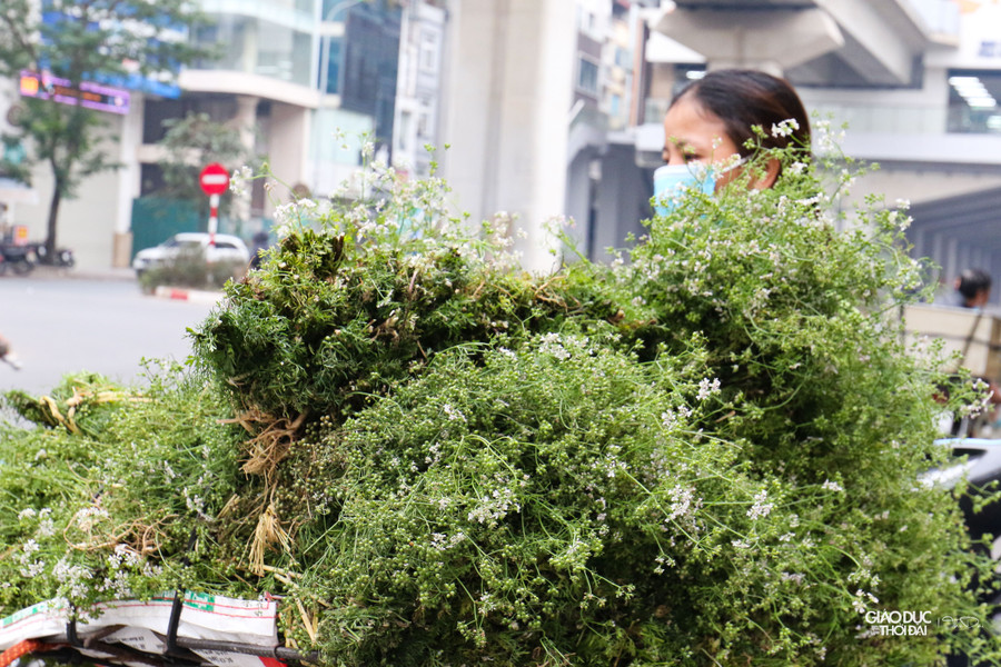 Đã là truyền thống nên lá mùi già luôn là mặt hàng bán chạy trong những ngày cuối năm, đặc biệt là ngày 30 Tết.