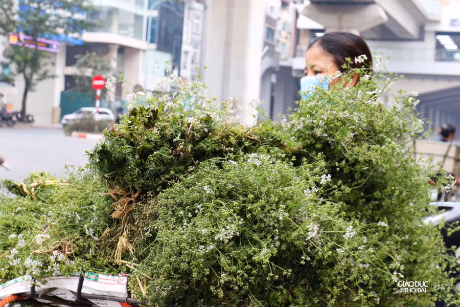 Đã là truyền thống nên lá mùi già luôn là mặt hàng bán chạy trong những ngày cuối năm, đặc biệt là ngày 30 Tết.