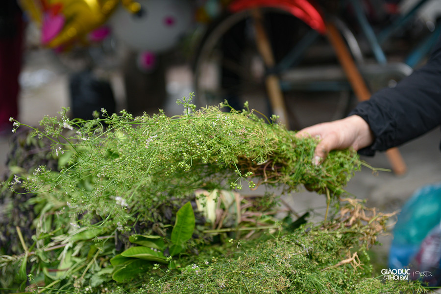 Cây mùi già đun lấy nước để tắm giúp mềm mại và sáng da. Dùng nước mùi già gội đầu giúp tóc bóng đẹp, bớt rụng tóc...