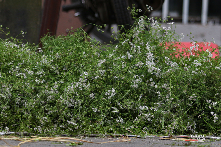 Mùi già thường được trồng ở ngoại thành và vận chuyển vào nội đô từ sáng sớm.