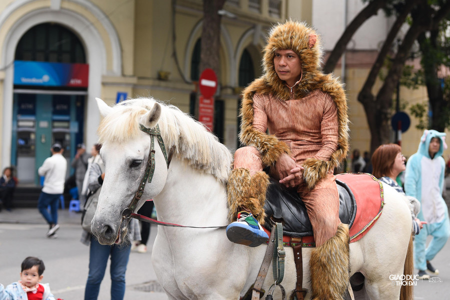 Liên hoan Xiếc quốc tế đã được tổ chức nhiều lần tại Việt Nam và tạo nên thương hiệu riêng, thu hút sự quan tâm đặc biệt của công chúng.