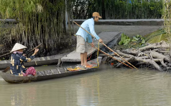 Mặt dù sử dụng điện đánh bắt cá là lệnh cấm, nhưng nhiều người dân cứ vô tư đem xiệc điện ra kênh rạch để săn cá. Đa phần bắt cá lớn còn cá nhỏ thì bỏ. 