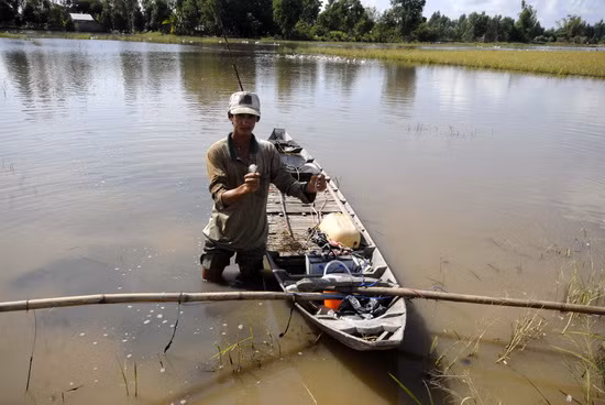 Đây là dụng cụ kéo côn, đa phần đều có điện để bắt được cá lớn, còn cá nhỏ bị điện giật chết ngay sau đó