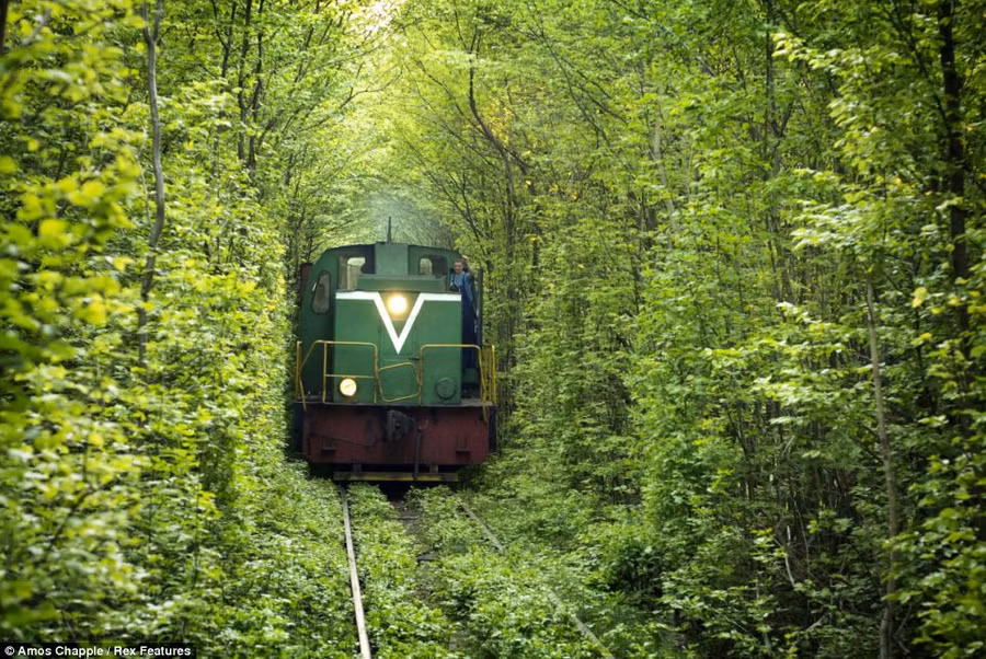 Đường hầm tình yêu ở Ukraina ảnh 2