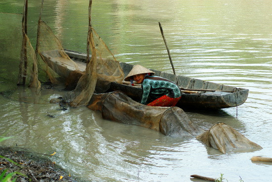 Dụng cụ bắt cá này gọi là dớn đuôi chuột, sử dụng lưới dày nên không tha bất cứ cá, tép lớn hay nhỏ
