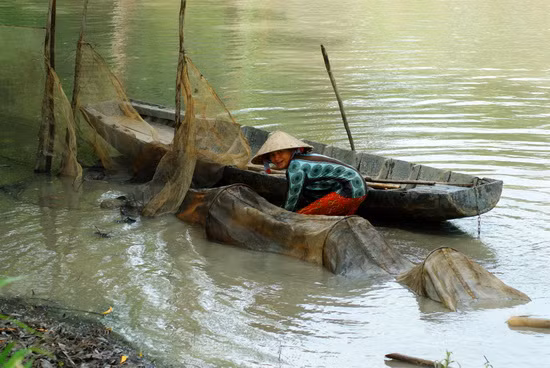 Dụng cụ bắt cá này gọi là dớn đuôi chuột, sử dụng lưới dày nên không tha bất cứ cá, tép lớn hay nhỏ