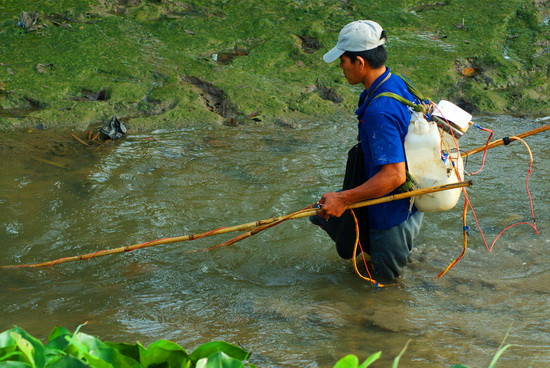 Người thanh niên này ở huyện Lai Vung- Đồng Tháp đeo trên mình chiếc bình xiệc điện và cây vợt dùng chích cá dưới kênh mương
