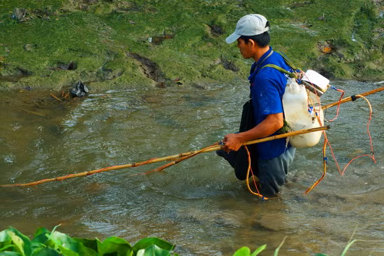 Người thanh niên này ở huyện Lai Vung- Đồng Tháp đeo trên mình chiếc bình xiệc điện và cây vợt dùng chích cá dưới kênh mương