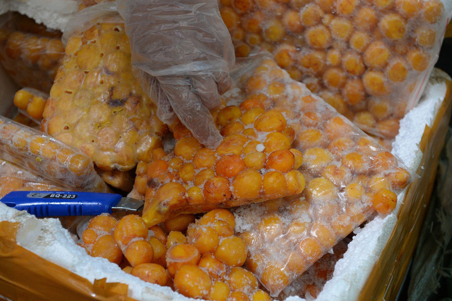 Tại thời điểm kiểm tra, lái xe không xuất trình được hóa đơn chứng từ số nội tạng động vật trên xe.