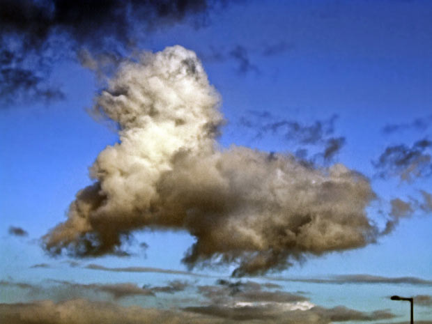 Những hình ảnh ấn tượng trong tuần ảnh 2 This cloud shaped like a kitten was spotted by photographer Peter Van Allen flying high above Portland Harbour, in Dorset. His purr-fect image was captured on a cold autumn afternoon while the 55-year-old was walking along the nearby Chesil Beach