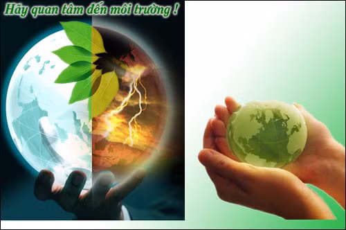 Nên có chính sách thuế khuyến khích đối với hàng hoá thân thiện với môi trường