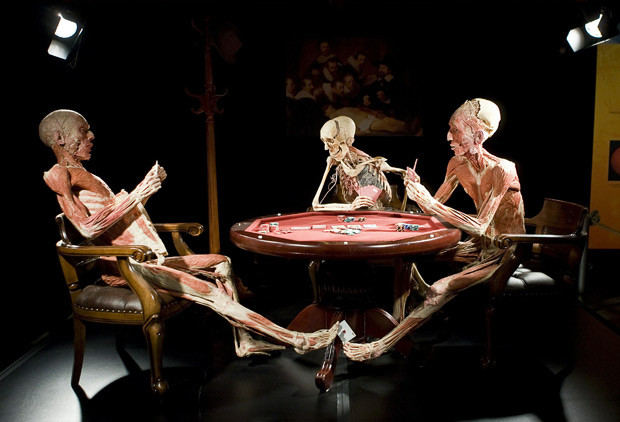 Những hình ảnh ấn tượng trong tuần ảnh 9 A scene from the new Gunther von Hagens exhibition, Bodyworlds, currently on display at the the Madatech science museum in the Israeli port city of Haifa