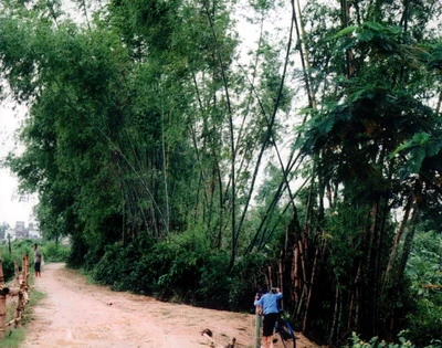 Tranh chấp gái làng, 1 thanh niên bị đánh chết