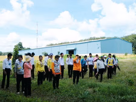 Học sinh học trong ô nhiễm do chế biến cao su