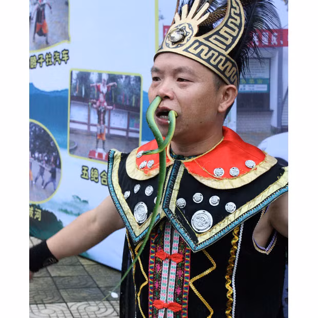 ...Other routines saw Yang insert an electric drill into his nostril, pull a car using his eyelids and feed a live snake through his nose and out through his mouth