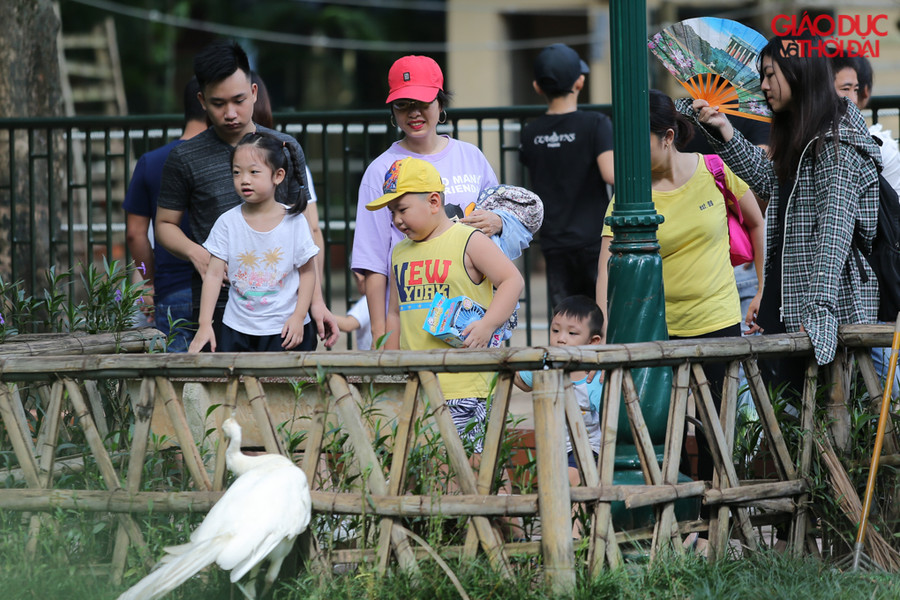 Chọn một vị trí thoáng đãng để con em mình thoải mái vui chơi.