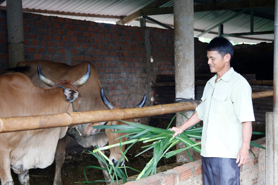 Bà con được hỗ trợ kĩ thuật, vốn... để chăn nuôi. Bà con được hỗ trợ kĩ thuật, vốn... để chăn nuôi.