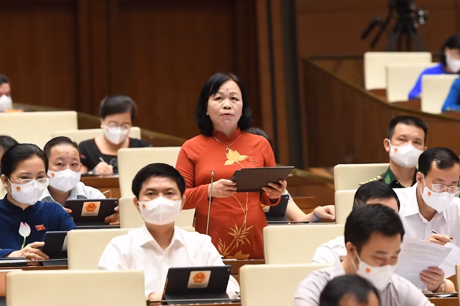 Đại biểu Nguyễn Mai Hoa (Đoàn Đồng Tháp) phát biểu thảo luận tại hội trường