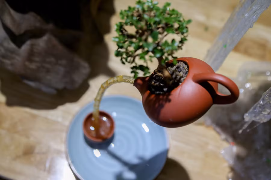 Bonsai, đảo bay độc đáo lần đầu tiên xuất hiện tại Hà Nội ảnh 8