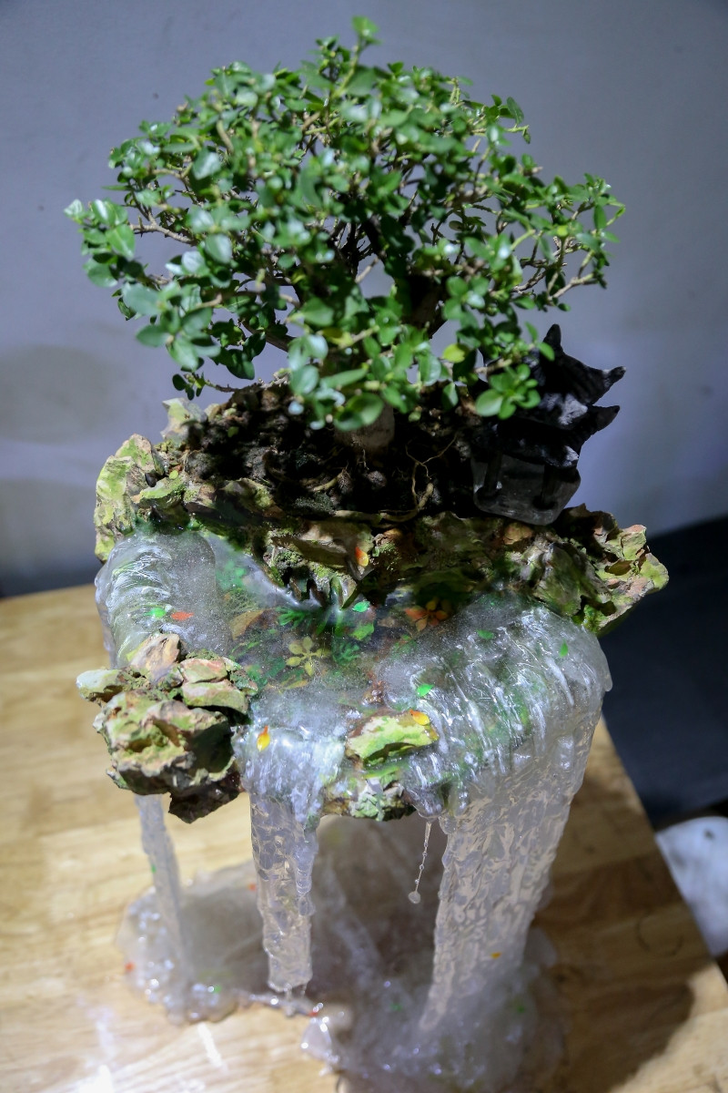 Bonsai, đảo bay độc đáo lần đầu tiên xuất hiện tại Hà Nội ảnh 9