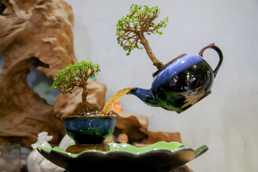 Bonsai, đảo bay độc đáo lần đầu tiên xuất hiện tại Hà Nội ảnh 10