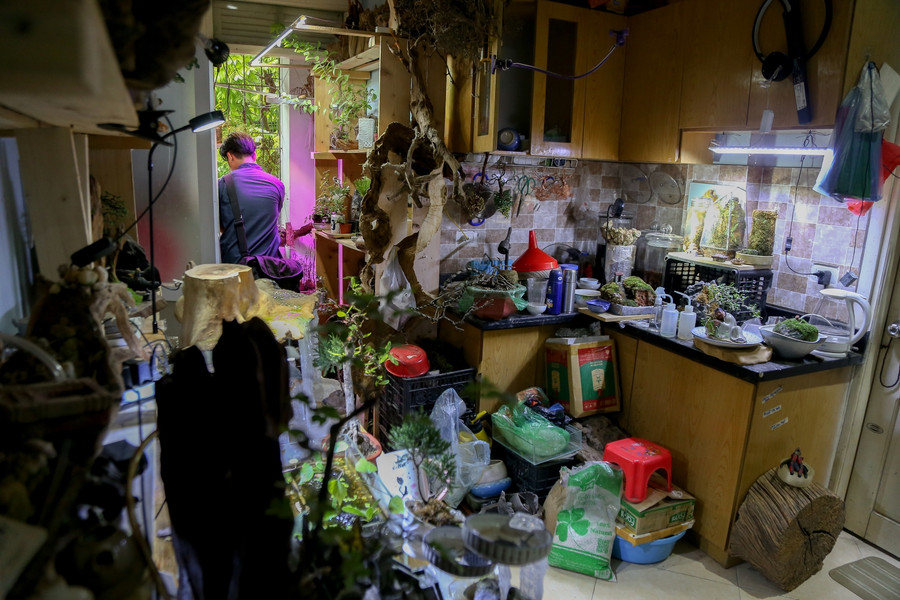 Căn phòng nhỏ, nơi anh Quỳnh làm ra những tác phẩm bonsai, tiểu cảnh bay lơ lửng độc đáo.