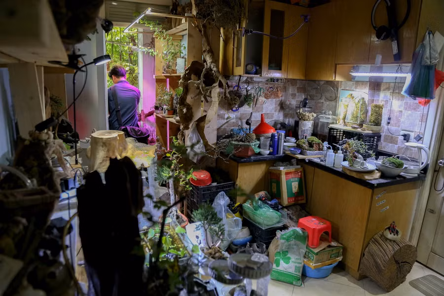 Căn phòng nhỏ, nơi anh Quỳnh làm ra những tác phẩm bonsai, tiểu cảnh bay lơ lửng độc đáo.