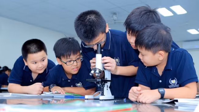 Ảnh minh họa/internet