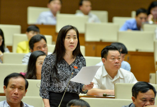 Đại biểu Đoàn Thị Thanh Mai Đại biểu Đoàn Thị Thanh Mai