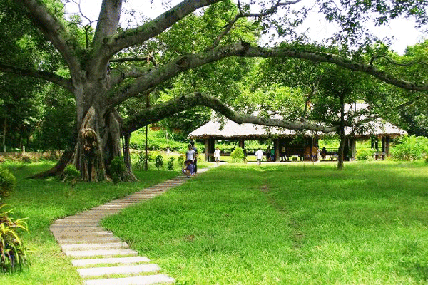 Ảnh minh họa/internet