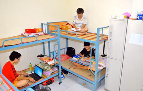 Kiến ba khoang hoành hành trong kí túc xá ĐHQG TPHCM