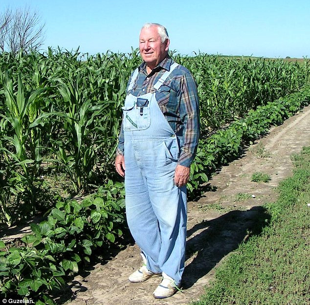 Pioneer: Carl Barnes spent years developing Glass Gem corn and passed the secret on before he died Read more: http://www.dailymail.co.uk/news/article-2440109/Vivid-multi-coloured-corn-grown-Native-American-farmer-years-painstaking-breeding.html#ixzz2gWkOjQpe Follow us: @MailOnline on Twitter | DailyMail on Facebook