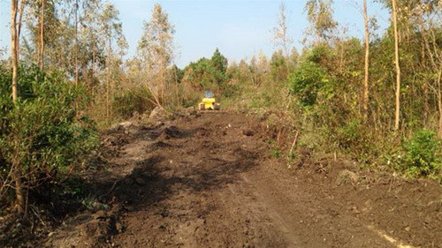 Cận cảnh nơi an táng Đại tướng Võ Nguyên Giáp ảnh 3