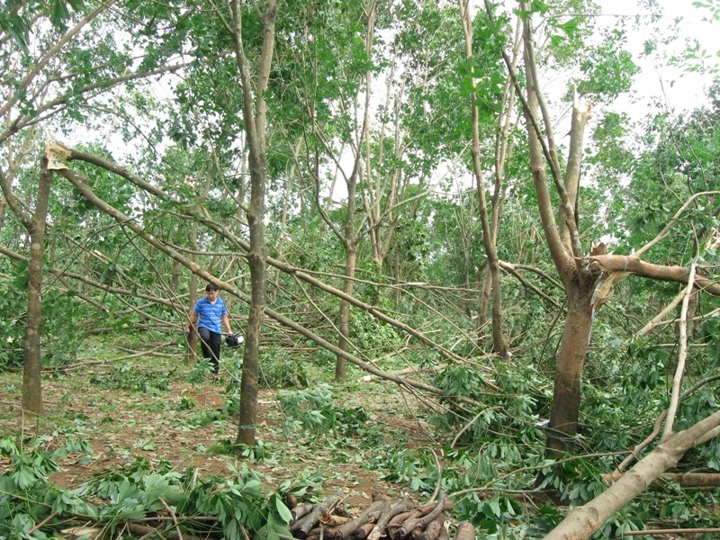 Khóc cùng &quot;vàng trắng&quot;