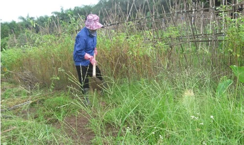 Người thiếu việc, ruộng bỏ hoang