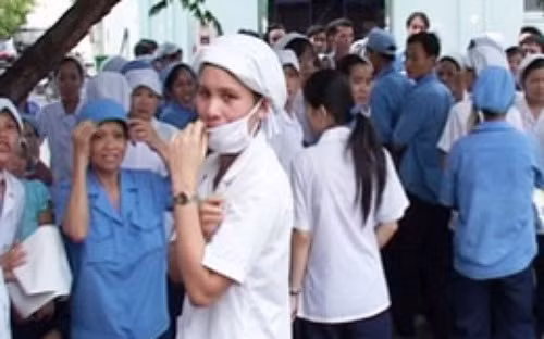 Ký hợp đồng lao động ngắn hạn để "lách luật"