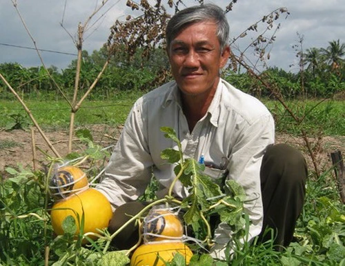 &quot;Hàng độc&quot; trưng Tết chuẩn bị ra lò