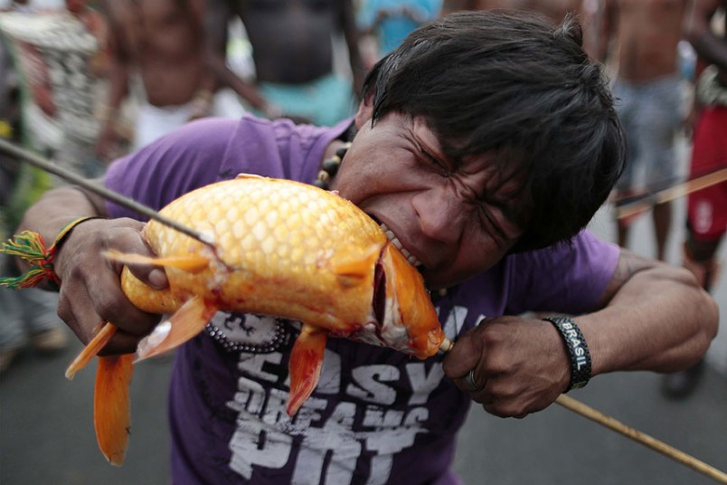A protester bites a fish caught from the lake in front of the Justice Palace in Brasilia during a demonstration by indigenous Indians